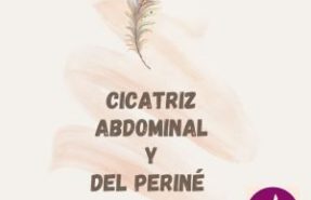 Cicatriz abdominal y perine