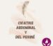 Cicatriz abdominal y perine