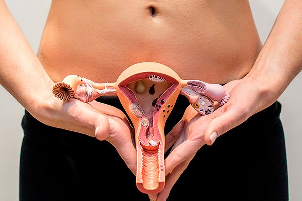 Dolor de Regla Clínica de Fisioterapia Mujer Flora vaginal