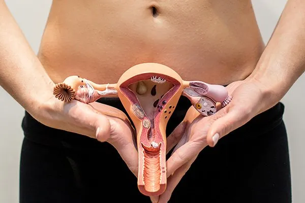 Flora vaginal: cuidados para evitar infecciones vaginales Clínica de Fisioterapia Mujer infecciones vaginales flora vaginal