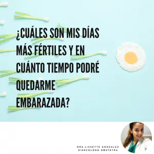 ¿Cuáles son mis días más fértiles y en cuánto tiempo podré quedarme embarazada? Clínica de Fisioterapia Mujer dias mas fertiles